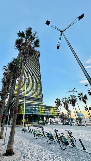 Oficina en alquiler en Santa Catalina - Canteras en Palmas de Gran Canaria(Las)