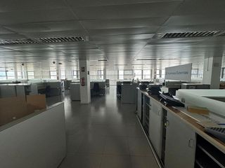 Oficina en alquiler en Santa Catalina - Canteras en Palmas de Gran Canaria(Las)