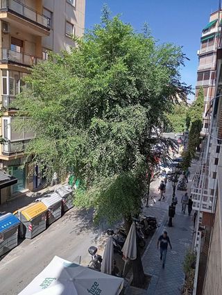 Casa en venta en Atarfe