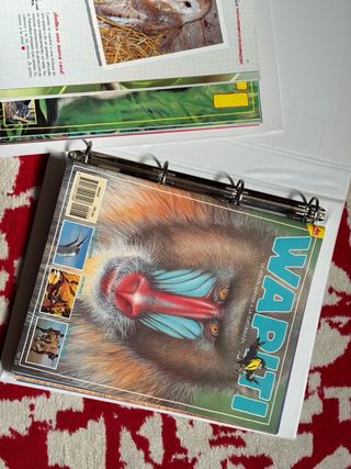 Coleccion de revistas para niños WAPITI.