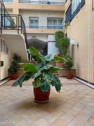 Piso en alquiler en Ciudad Jardín en Sevilla