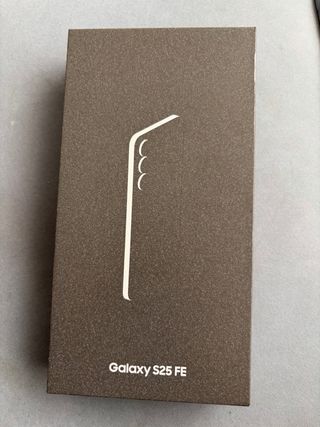 Samsung Galaxy S25 FE Gris