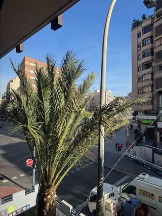 Oficina en alquiler en Centro en Alicante