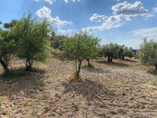 Terreno en venta en Barrio de la Vega en Monachil
