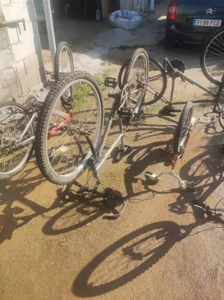 Lote 5 Bicicletas Varias