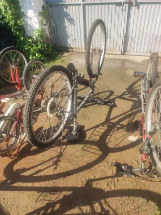 Lote 5 Bicicletas Varias