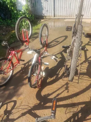 Lote 5 Bicicletas Varias