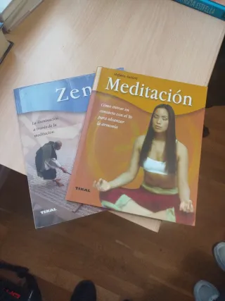 Meditación (Spanish Edition)