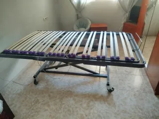 Cama articulada elevable