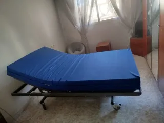 Cama articulada elevable