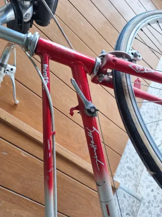 Bicicleta Roja