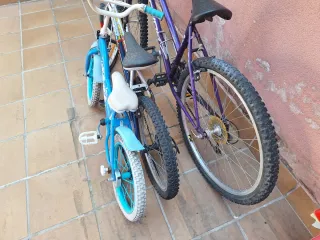 3 Bicicletas Infantiles y Adulto