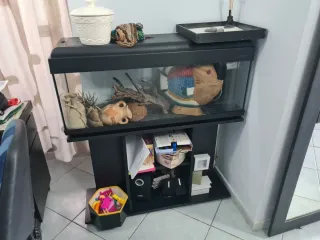 Acquario 100 litri