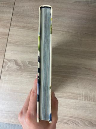 Kingdom Come Abolsute