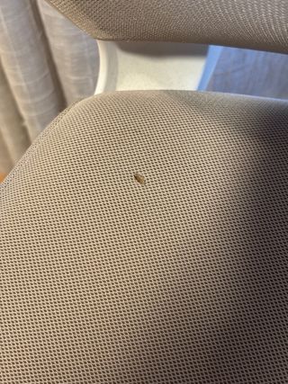 Silla ergonómica oficina para teletrabajo