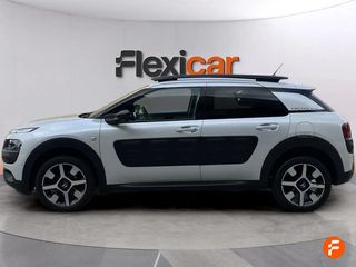 Citroën C4 Cactus BlueHDi 73KW (100CV) Shine