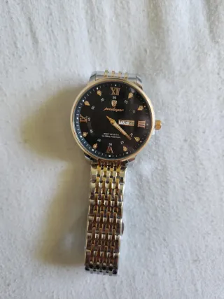 Reloj Poedagar Plateado y Dorado Hombre