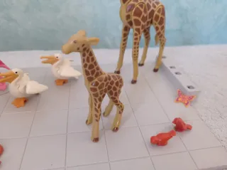 Playmobil Animales: Jirafas, Flamencos, Pelícanos