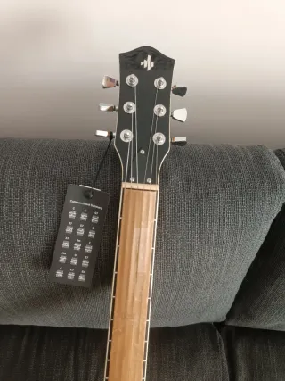 Guitarra Donner Les Paul. O cambio