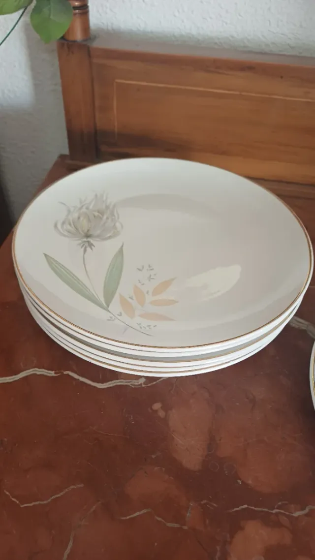 11 Platos Llanos San Claudio (Oviedo)