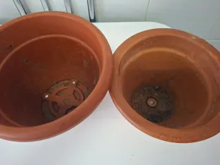 Conjunto di vasi e fioriere