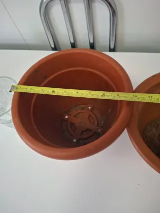 Conjunto di vasi e fioriere