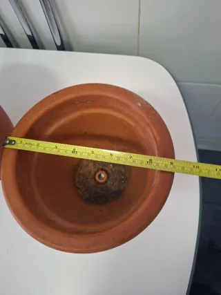 Conjunto di vasi e fioriere