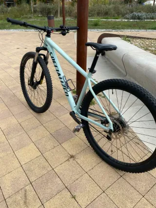 Bicicleta Specialized 29