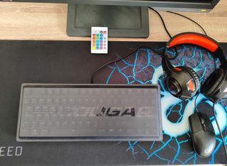 Setup Gaming BenQ, Cougar, Logitech (SIN PC)