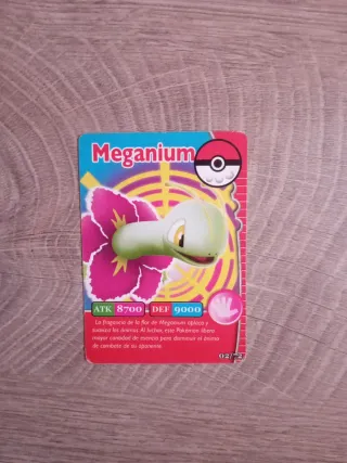 Lote 2 Cartas Pokémon Meganium y Salamence