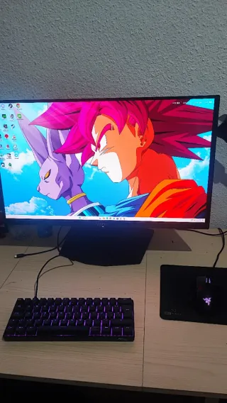 MSI MAG 271QPX QD-OLED 26.5 WQHD (360 hz ).