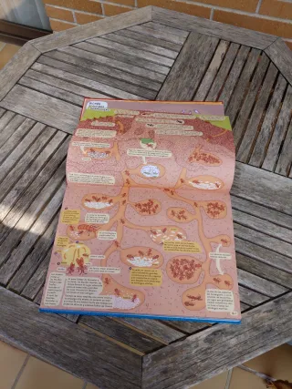 Debajo de la Tierra. Debajo del Agua