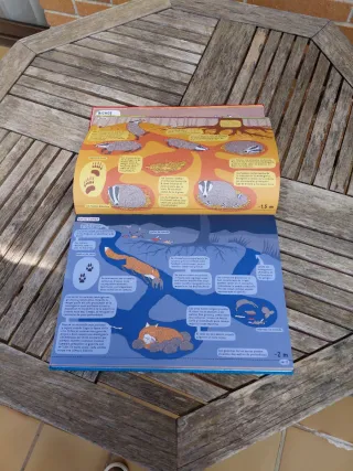 Debajo de la Tierra. Debajo del Agua