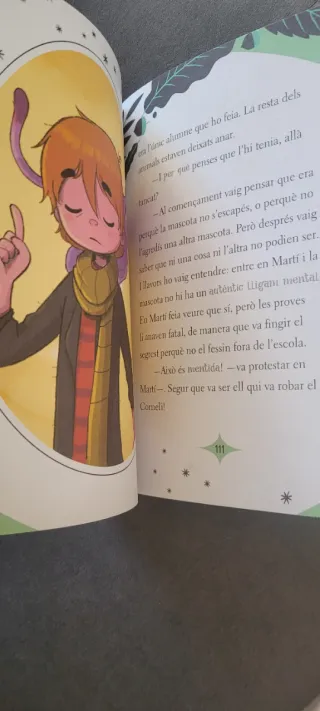 Col·legi de Poders Secrets 1 El gat número tretze