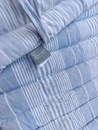 Tumbona con colchon azul y blanco