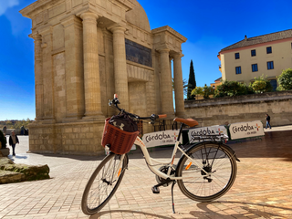 Bicicleta Paseo Clásica