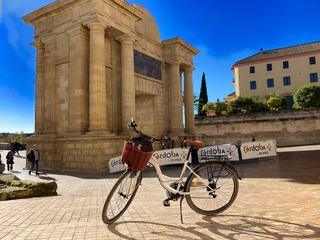 Bicicleta Paseo Clásica