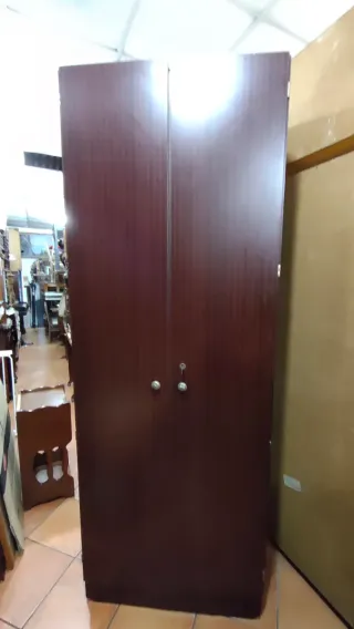 Armario Ropero Clóset 2 Puertas 640513971