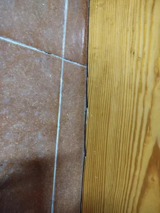 Puerta de calle de madera