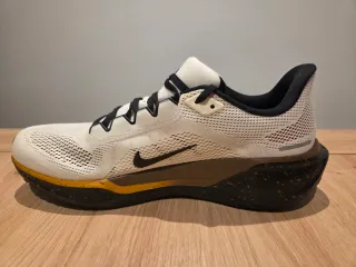 Zapatillas Nike Pegasus 41 (talla 46)