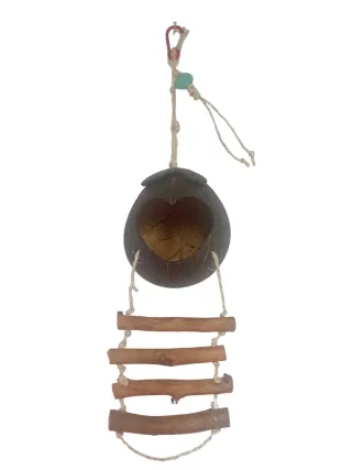 Pack para agapornis/pájaros/periquitos/loros