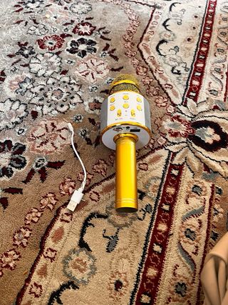 Micrófono Karaoke Dorado con Cable USB