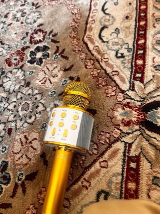 Micrófono Karaoke Dorado con Cable USB