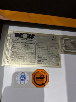 Caldera Gas Natural Propano