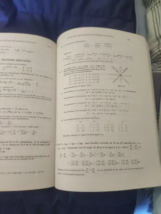 Geometría diferencial lipschutz