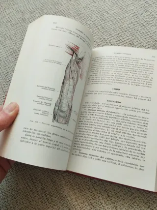 Compendio de anatomía y disección. Rouviere.