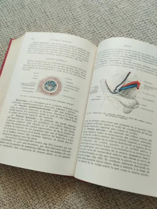 Compendio de anatomía y disección. Rouviere.