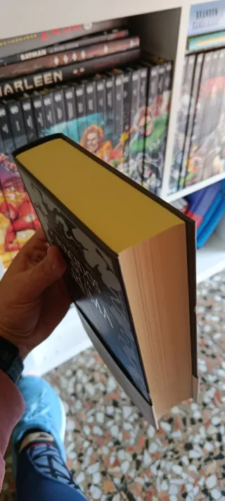 Nacidos de la Bruma (edicion limitada dedicada)