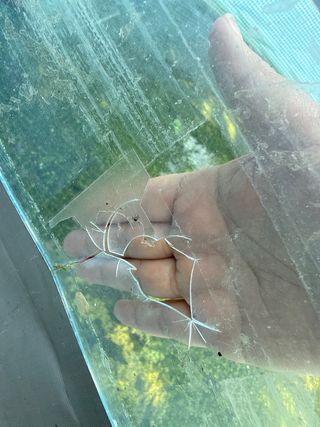 Piscina desmontable metal/plástico