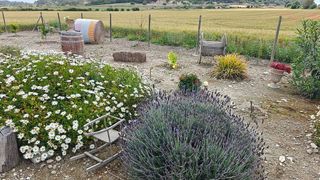 Casa rural en alquiler en Sineu